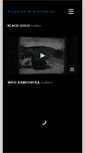 Mobile Screenshot of bielatowicz.com